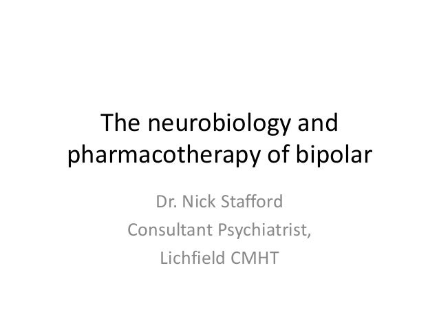 Hyper Euthymia - A Blueprint Of Bipolar Recovery